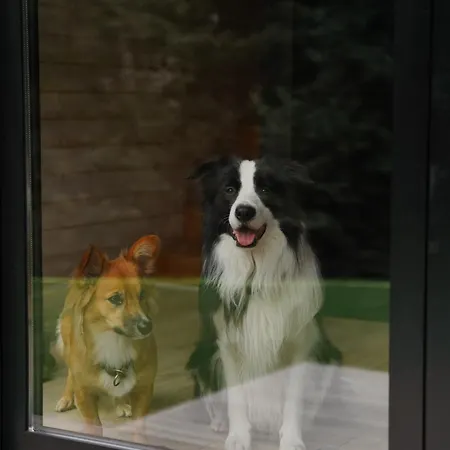 Momenty Domek letniskowy Slajszewo