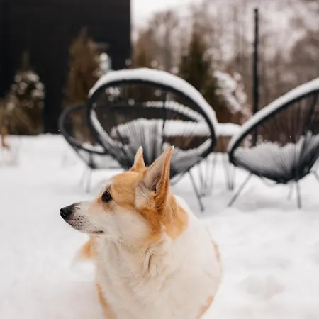 Momenty ロッジ Slajszewo