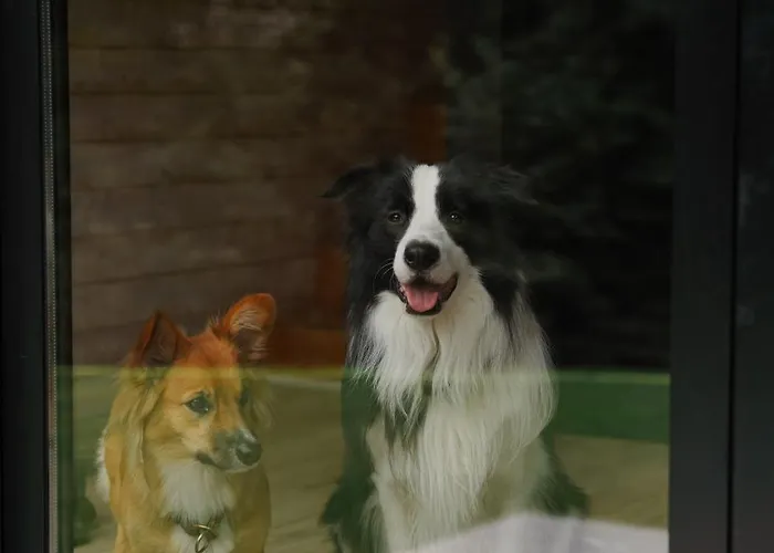 Momenty Jaktstuga Slajszewo