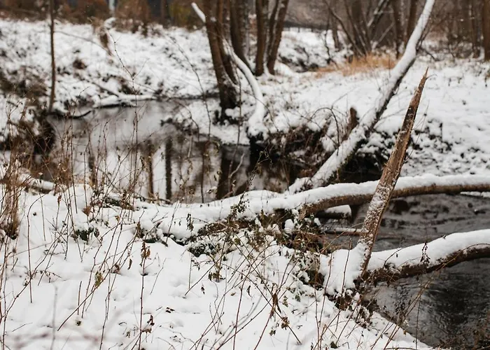 بيت خشبي Momenty *