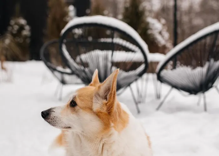 Momenty Jaktstuga Slajszewo